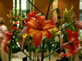 Foto: Dr. Jörg M. Giffei